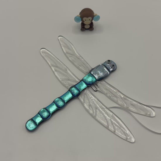 Glass dargonfly