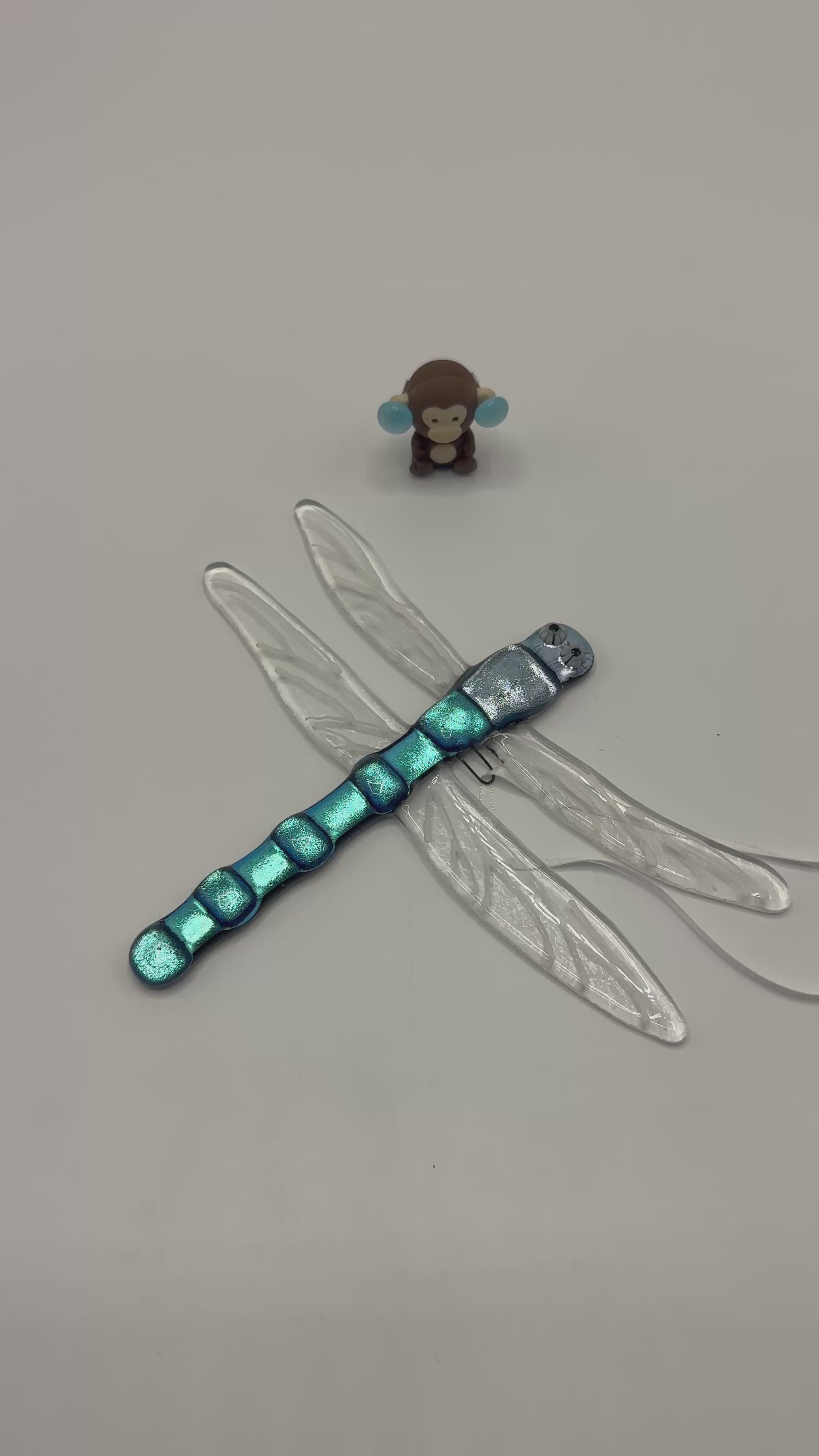 Glass dargonfly